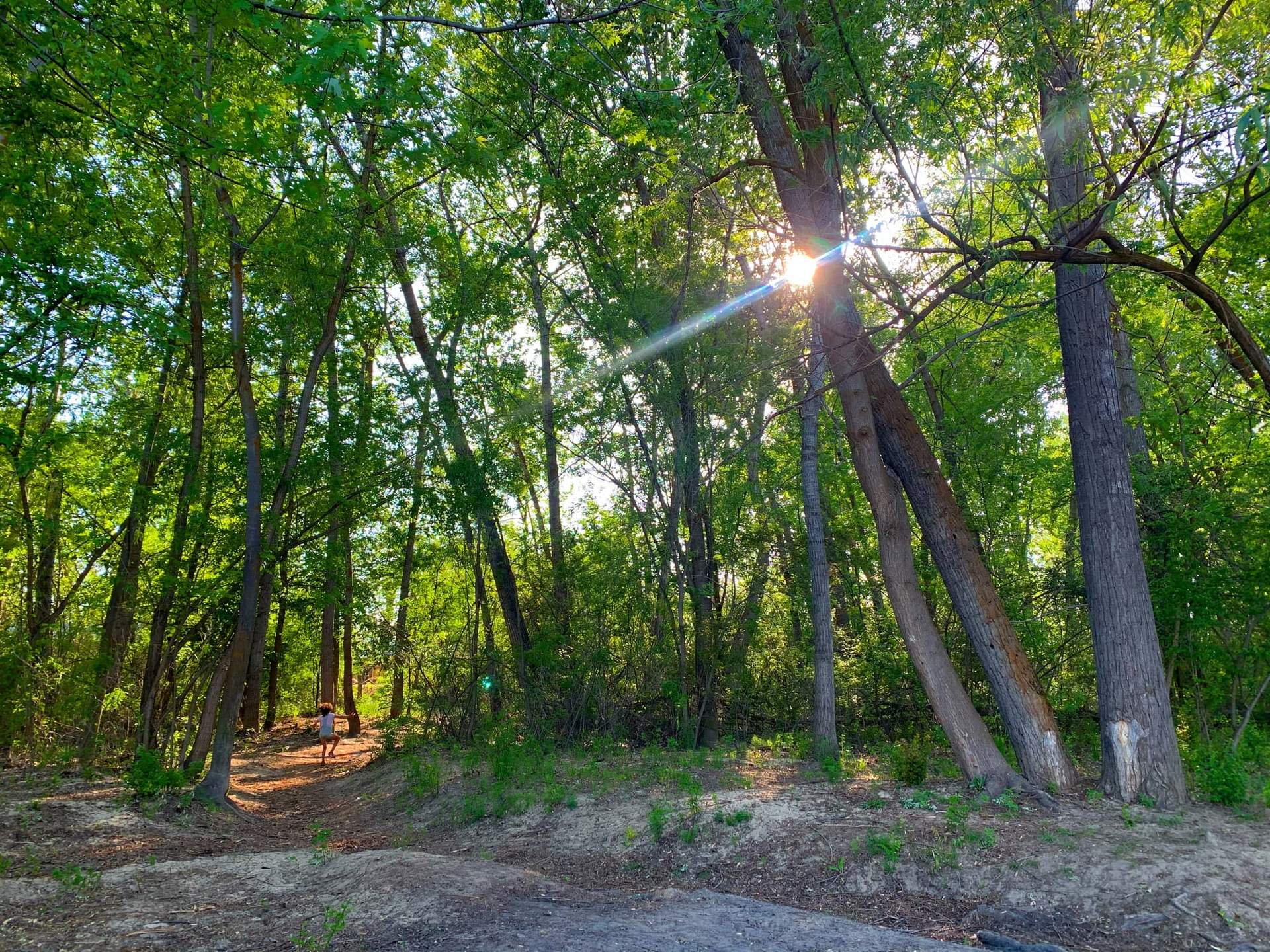 A little girl skipping along a wooded path beneath sunlit trees