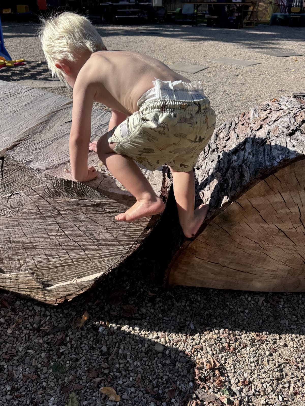 A young child climbing across large logs during outdoor play